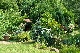 country house, Uckermark, Brandenburg